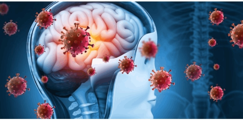 حتى بعد التعافي.. هذا ما يفعله كورونا بالدماغ