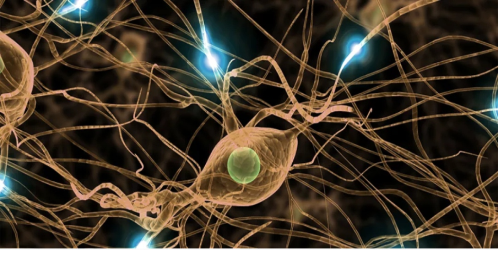 فوائد مذهلة لفيتامين “ب” المركب على صحة الأعصاب