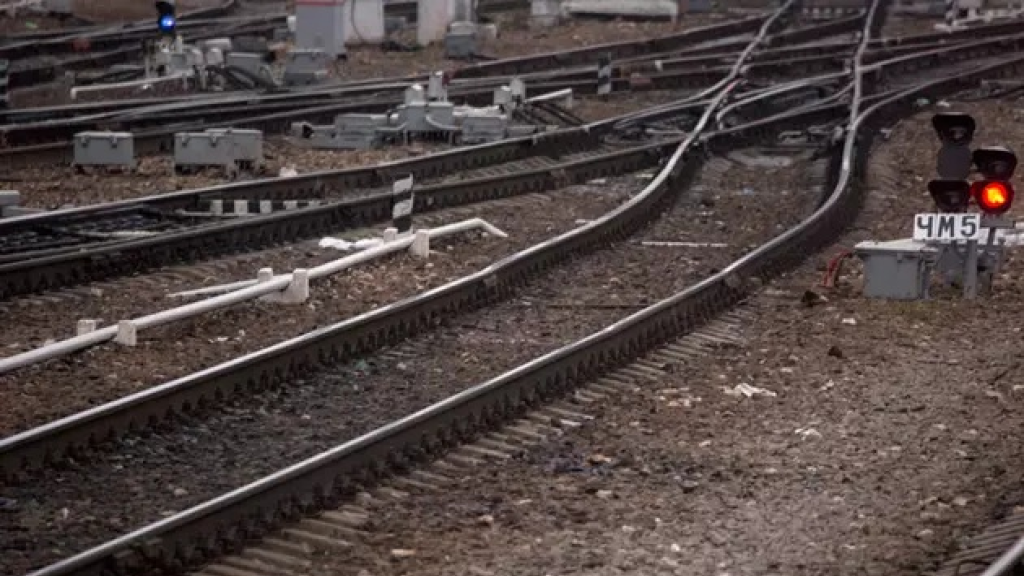  مشروع واعد في جورجيا.. ما تفاصيله؟