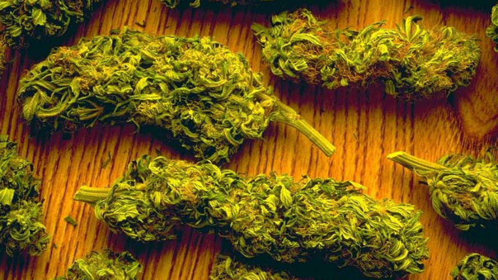 عملية نوعية... ومستودع كبير للماريغوانا