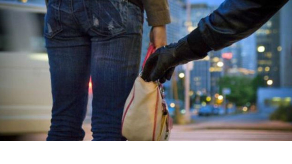 أثناء محاولة سرقتها… هذا ما حصل معها!