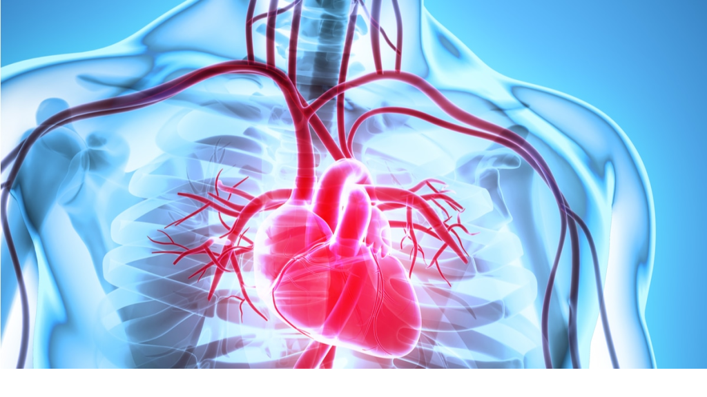 كيف يحمي التشخيص المبكر من تصلب الشرايين؟