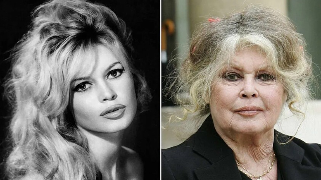 آخر ظهور علني لبريجيت باردو قبل وفاتها (صورة)