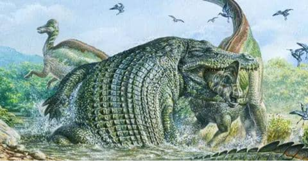 وحش العصر الطباشيري.. الكشف عن هيكل أضخم تمساح في التاريخ 