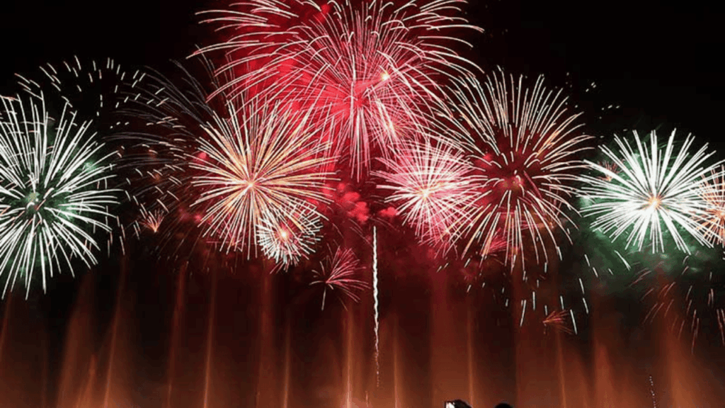 بالفيديو – سيدني تستقبل العام الجديد