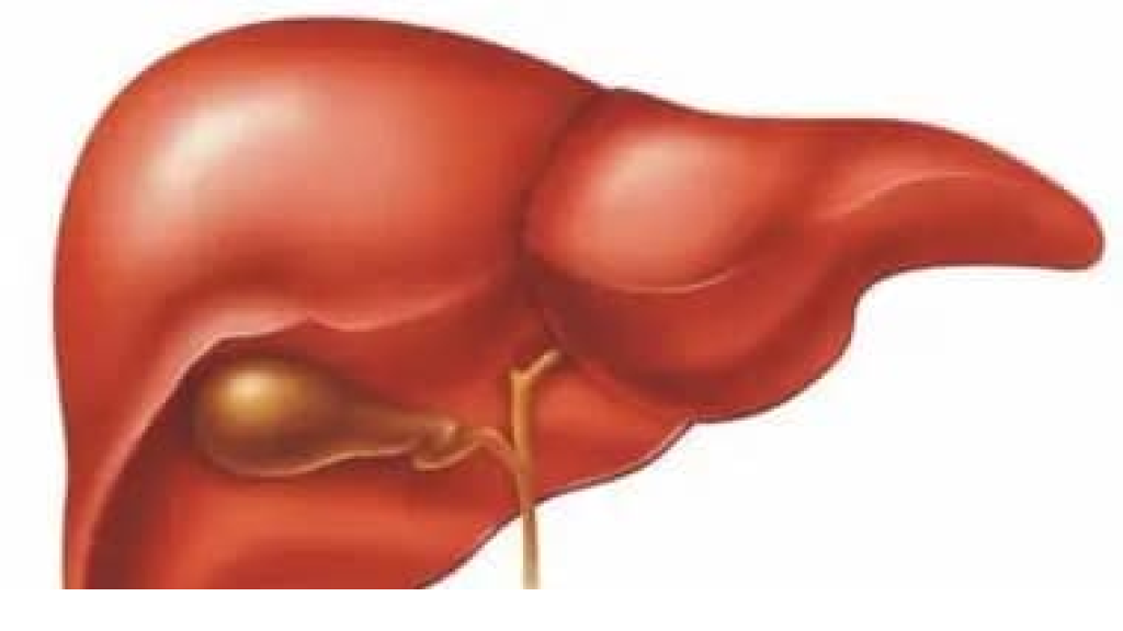 مشروبات بسيطة تدعم الهضم الصحى وتزيل السموم من الكبد