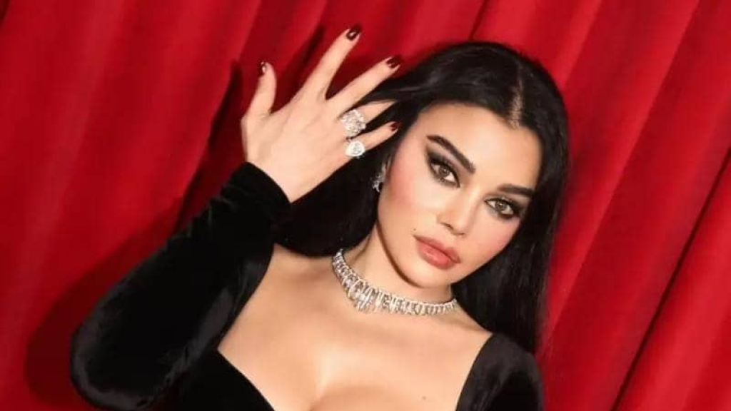 محامية هيفاء وهبي تعلن تفاصيل انتصارها على نقابة الموسيقيين بمصر