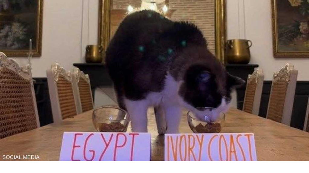 حكاية القط نيمبوس.. مصر تنهي أسطورة 