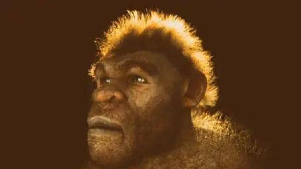 دليل جديد يوضح تطور المشي على قدمين لدى أسلاف البشر 