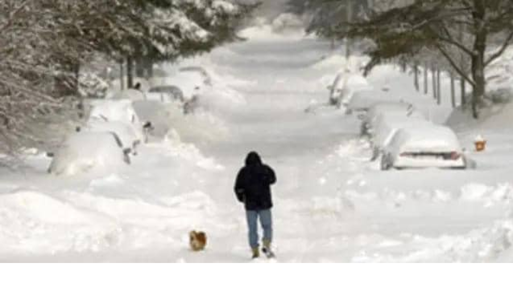 العاصفة تنسحب من لبنان… دفء تدريجي قبل عودة الأمطار مجددًا السبت