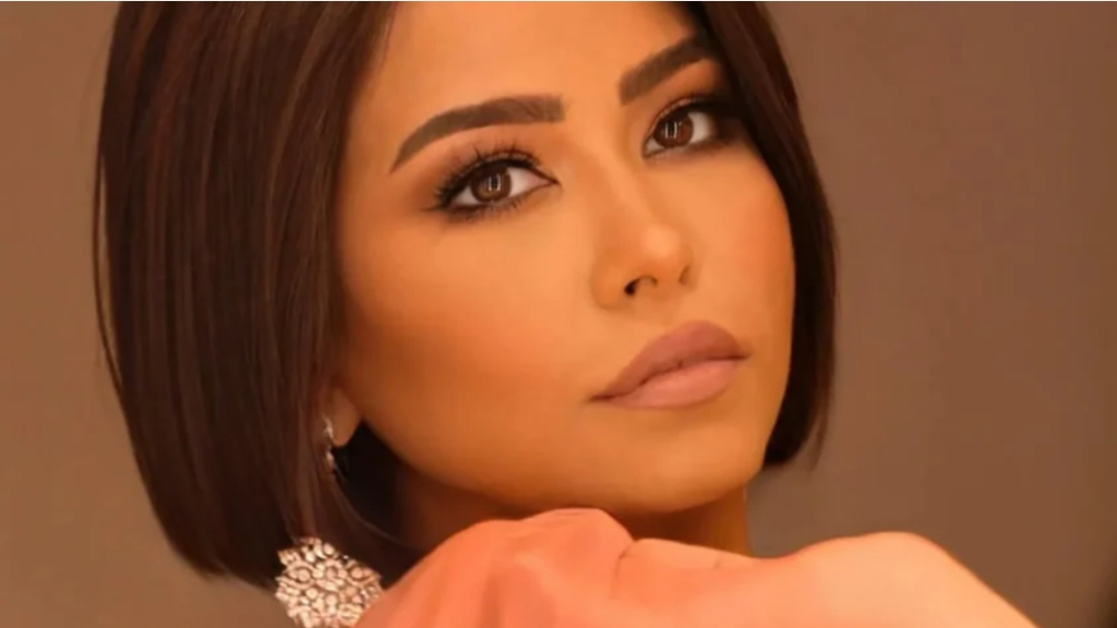 نقيب المهن الموسيقية في مصر: إنهاء الثرثرة ضرورة لتعافي شيرين عبدالوهاب