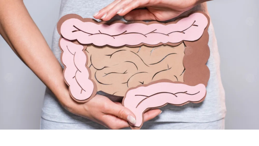 فوائد الإنزيمات الهاضمة: كيف تحسن الهضم وأين توجد؟