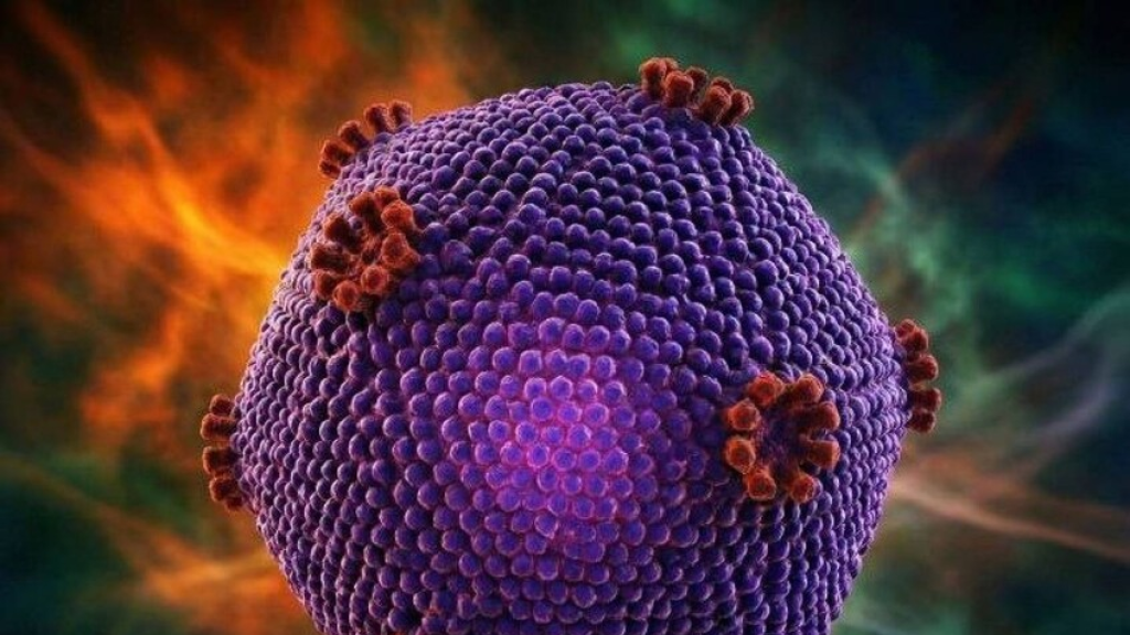 الصين.. إصابة أكثر من 100 تلميذ بفيروس خطير