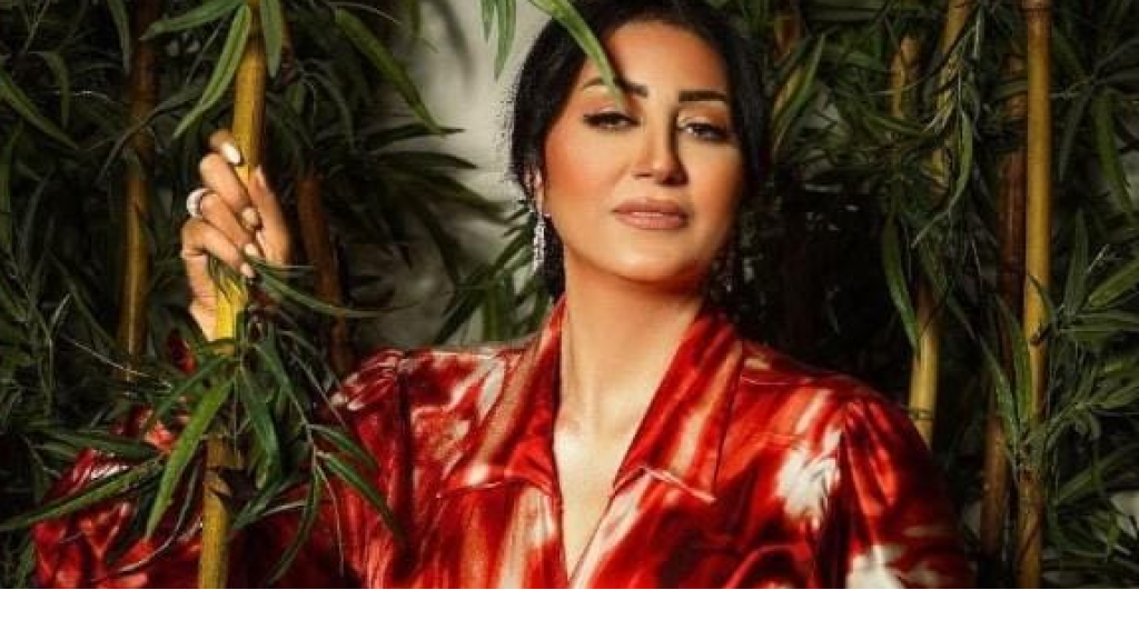 الحياة مش محتاجة حرب.. وفاء عامر في أحدث ظهور على فيسبوك