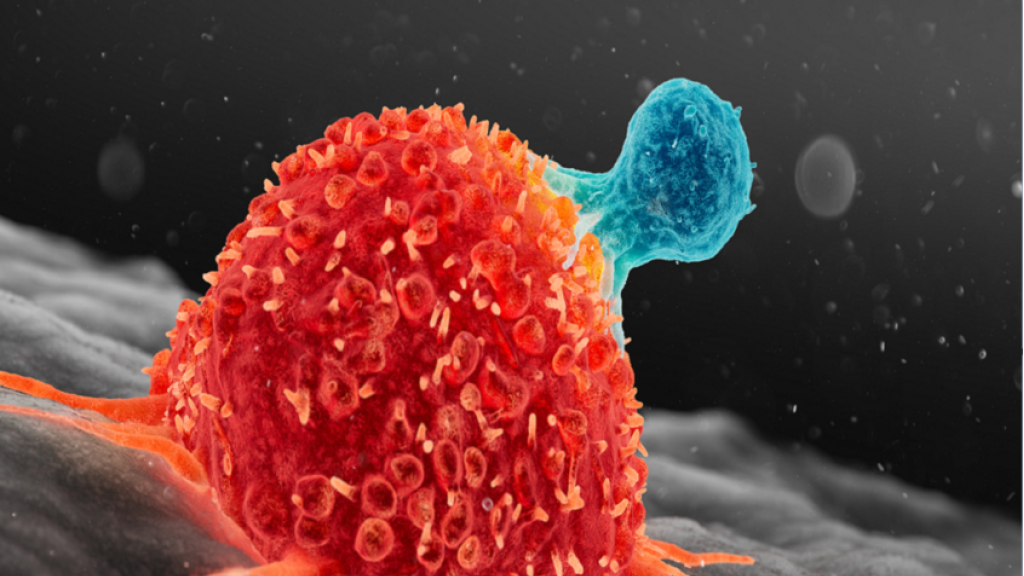 اكتشاف جين جديد يبشر بعلاجات توقف نمو نوعين من السرطان 