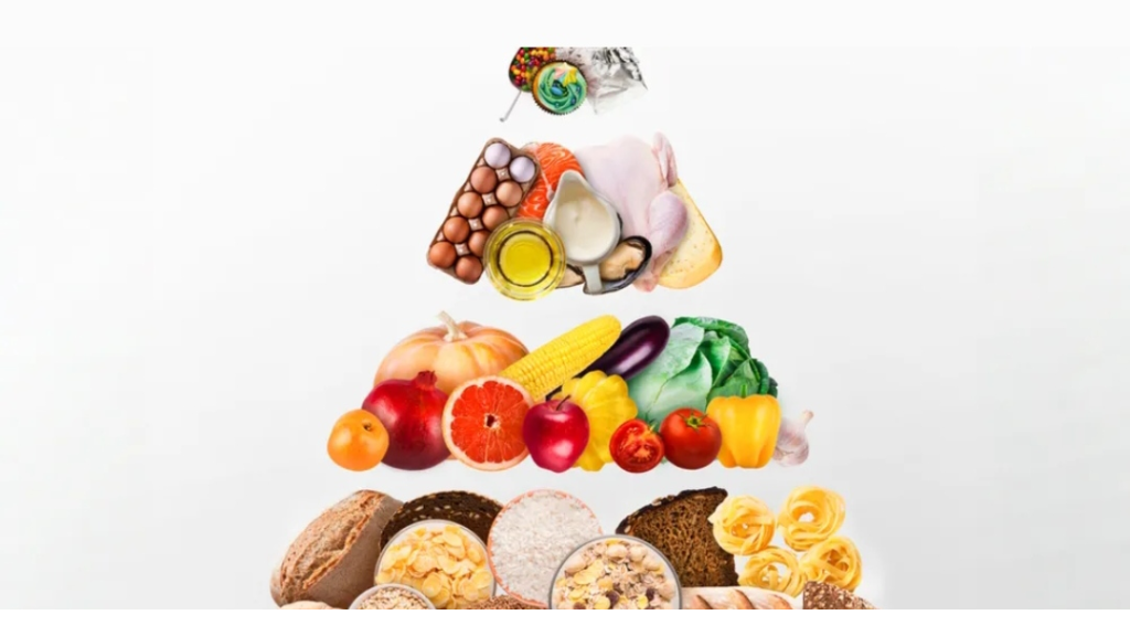 الهرم الغذائي الجديد: ما الذي تغيّر عام 2026؟ ولماذا يهمك؟