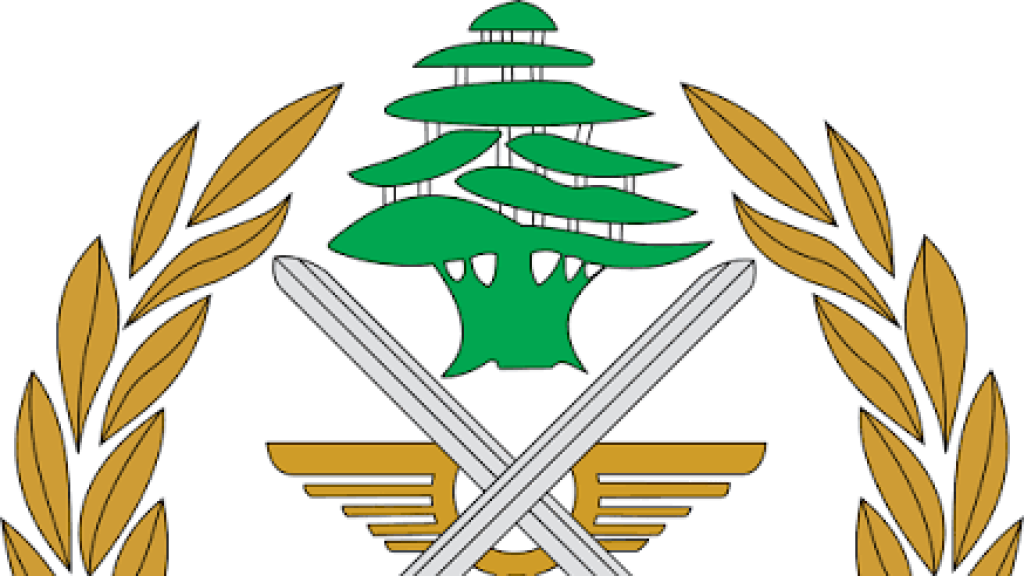 استمرار الاعتداءات الإسرائيلية يعيق جهود الجيش ويعرقل استكمال تنفيذ خطته