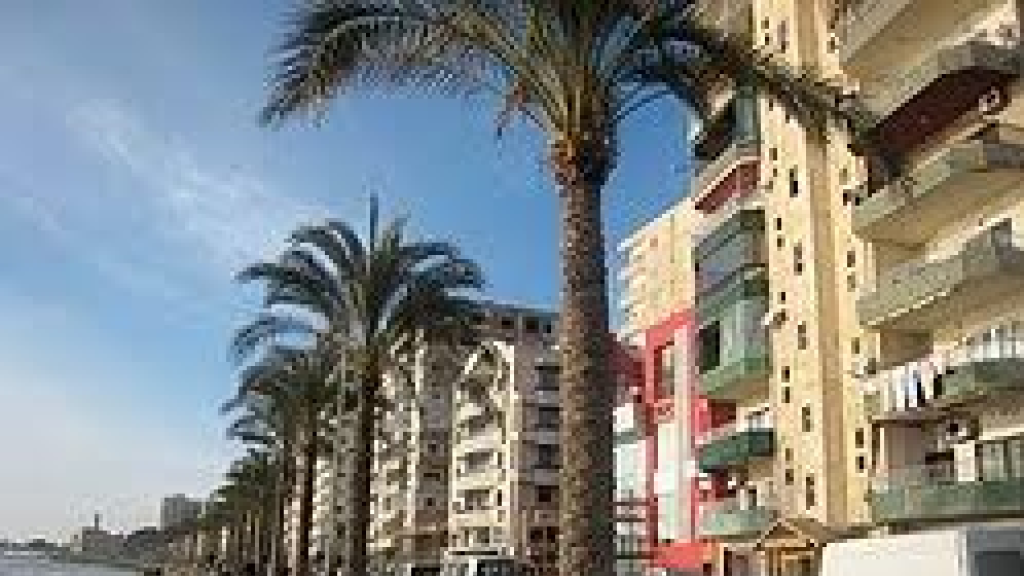 بالفيديو: أطلق النار على أحد المقاهي في صور.. سقوط قتيل وجرح شخصين  