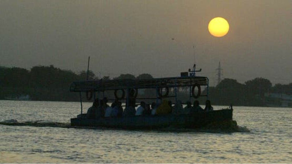 كارثة غامضة تهز السودان.. آلاف الفئران النافقة تغزو نهر عطبرة (فيديو) 