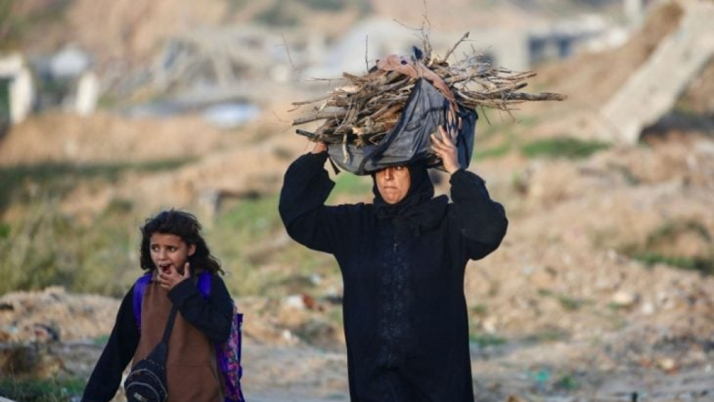 الحطب.. وسيلة الغزيين للنجاة- (شاهد)