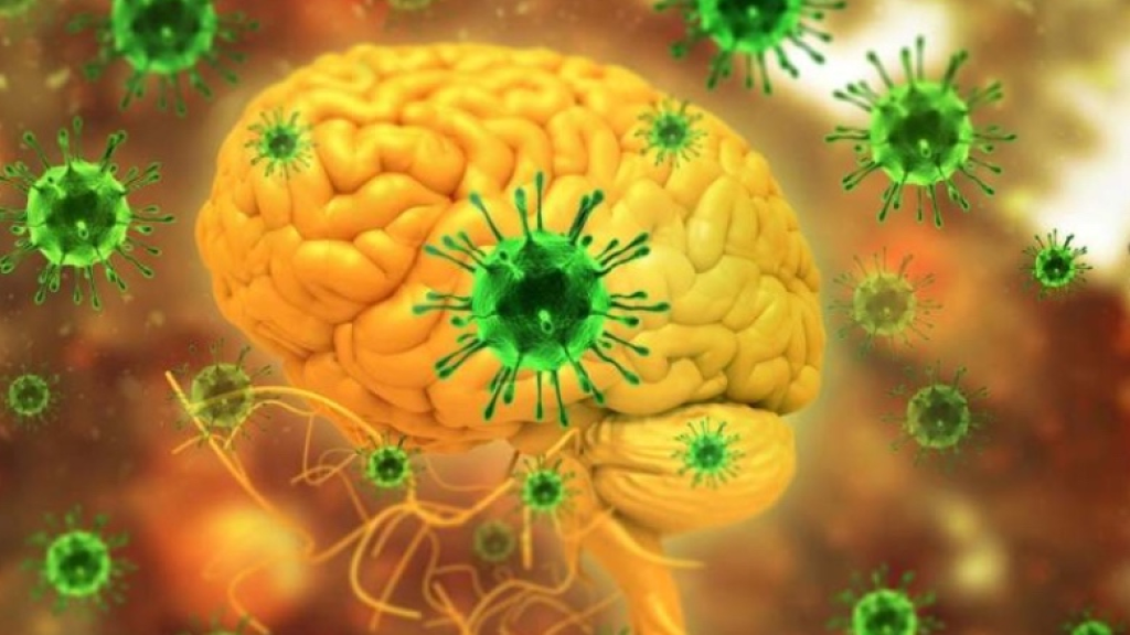 هل يتحوّل فيروس 