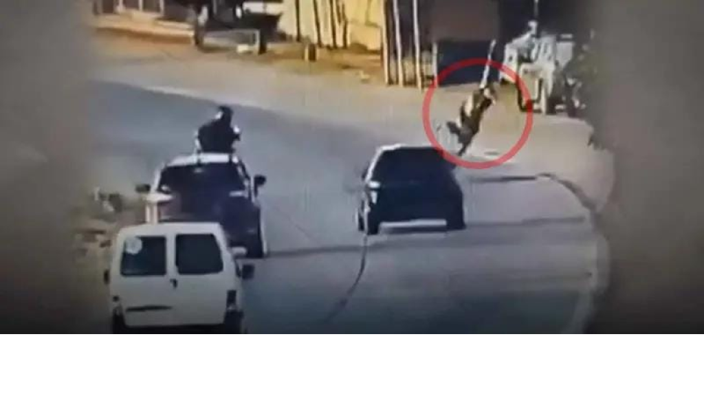 لص يطير في الهواء.. بعد اصطدامه بسيارة شرطية 