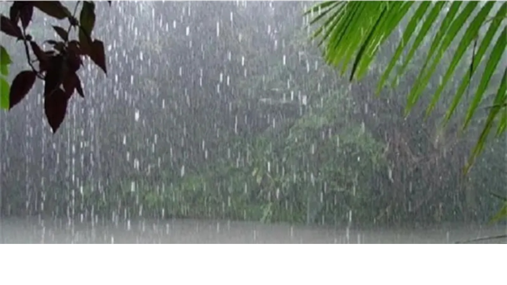 خنيصر: لبنان يدخل 26 ساعة من الأمطار الطوفانية وحبات البرد القوي!