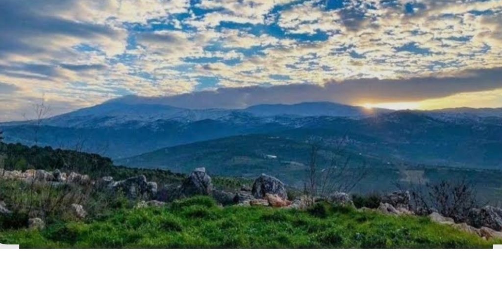 ارتفاع في درجة الحرارة وطقس مستقر