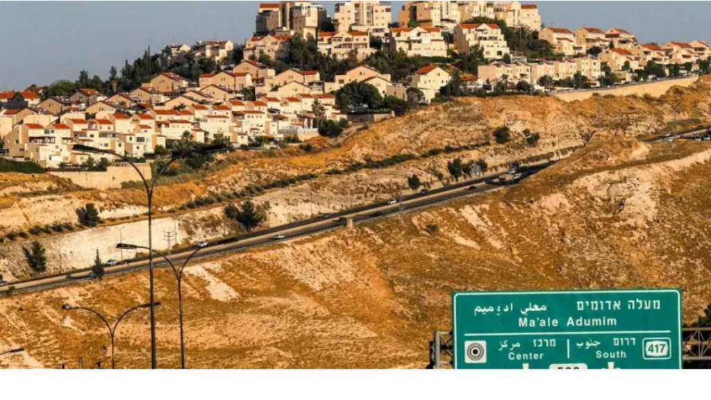 دول إسلامية: لا سيادة لـ “اسرائيل” على الأراضي الفلسطينية