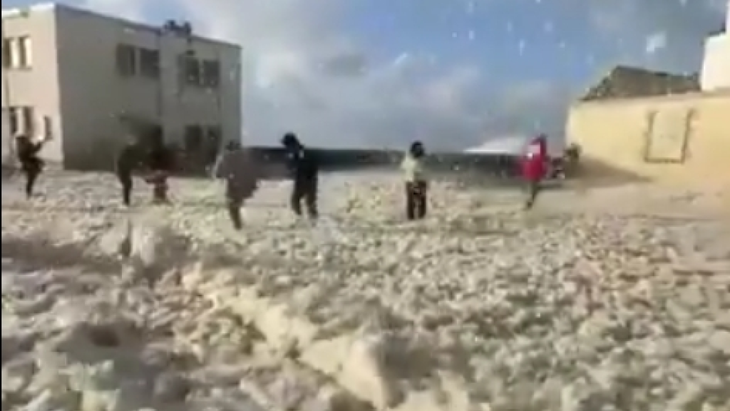 بالفيديو: عاصفة قويّة... و850 ألف منزل بلا كهرباء!