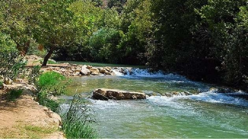 “مصلحة الليطاني” تدعو المشتركين في مشاريع الري لتسوية أوضاعهم