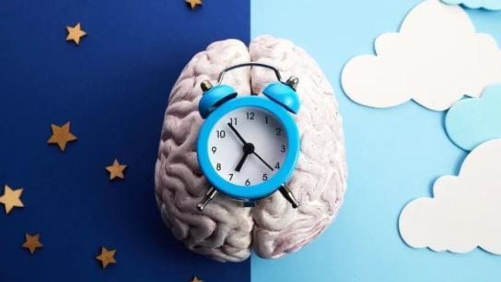 أمور مهمة جداً.. هكذا تؤثر الساعة البيولوجية على الصحة