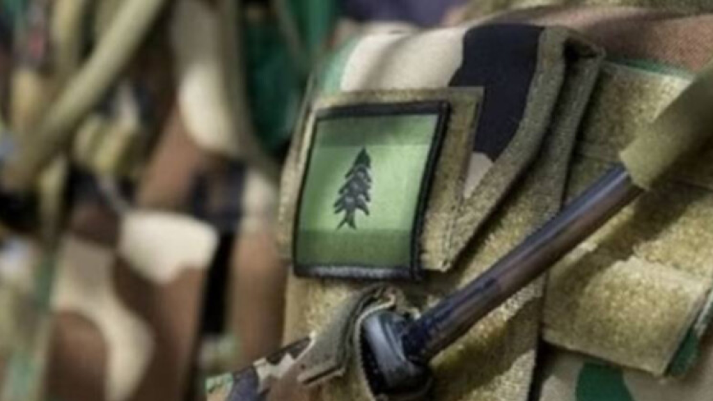 الجيش: استرداد مبلغ من المال بعد سلبه من مواطن