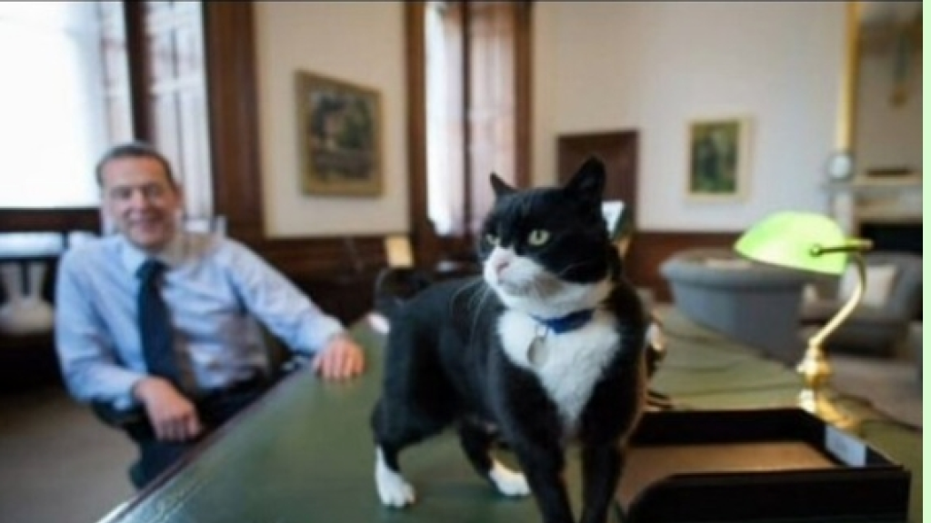 الخارجية البريطانية تعلن وفاة القط الدبلوماسي 