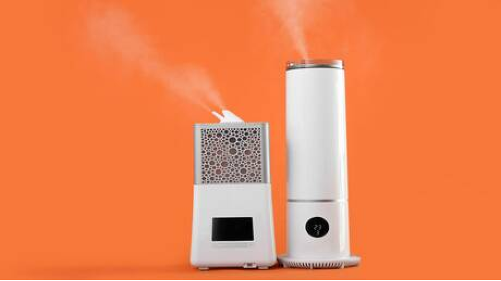 عالم روسي يحذر من خطر أجهزة ترطيب الهواء المنزلية  