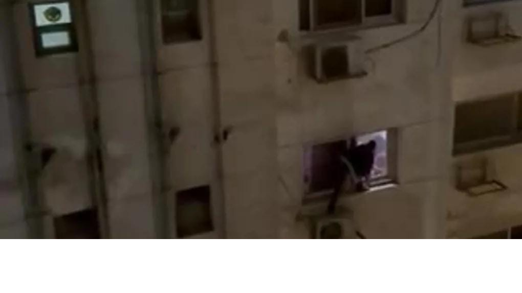 سارق يتحول إلى توم كروز... ما القصة؟ (فيديو)