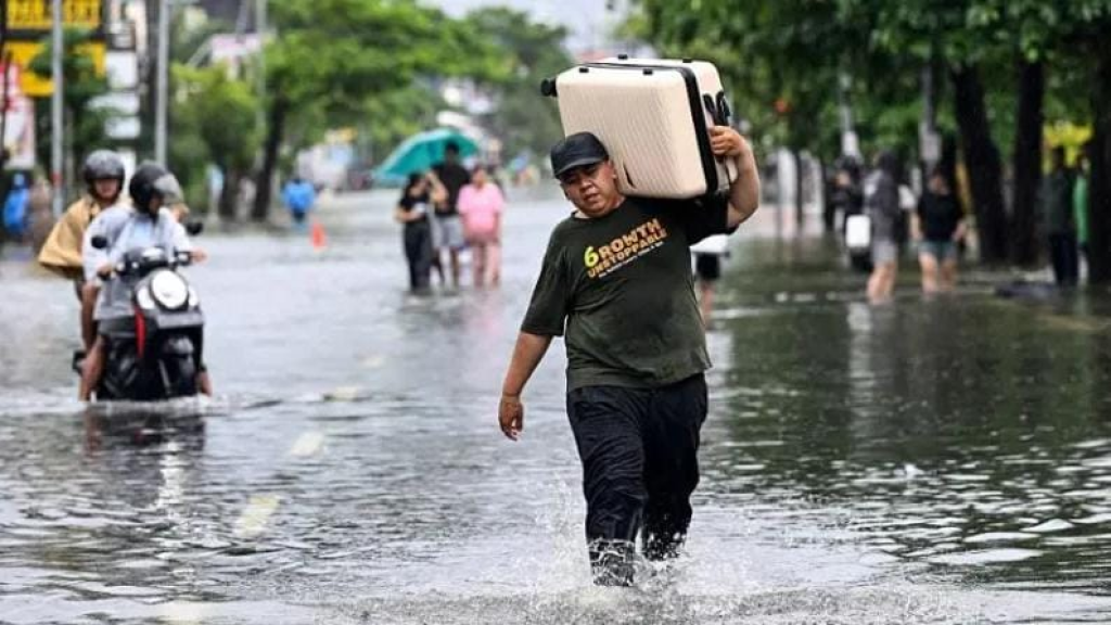 رعب في جزيرة بالي.. ثعبان ضخم يسبح في شوارع إندونيسيا
