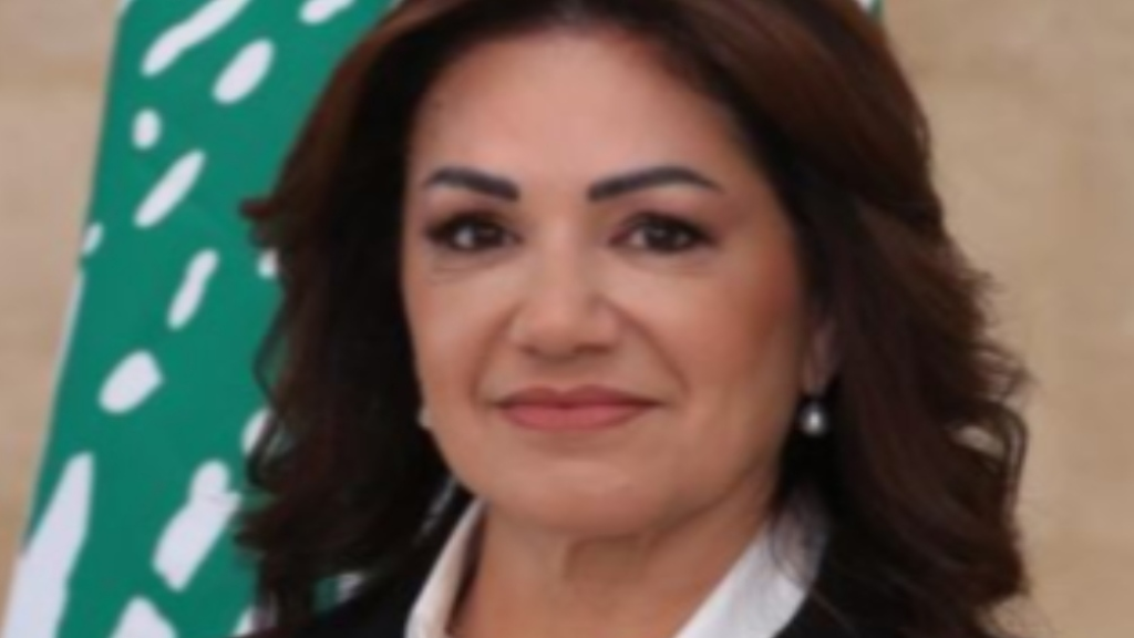 السيد: القدرات الاستيعابية لمراكز الإيواء في بيروت وصيدا وصلت إلى حدودها