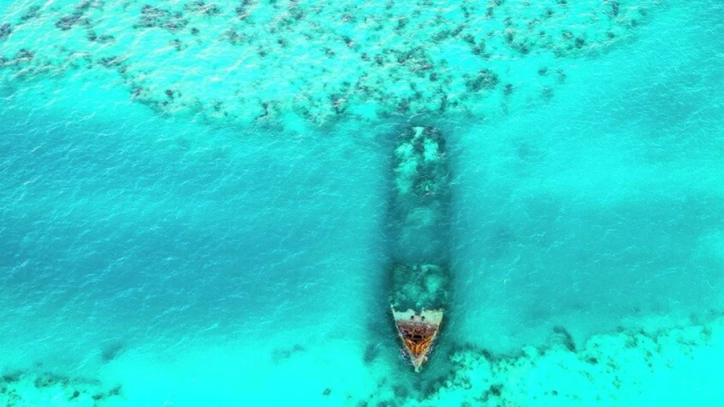 قبل أن تختفي أفادت بأن 