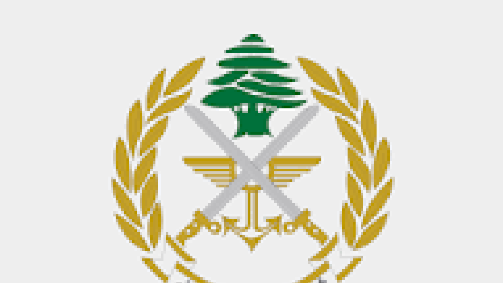 الجيش: إعادة تموضع على الحدود وضبط مسلحين في إطار تنفيذ قرارات الدولة