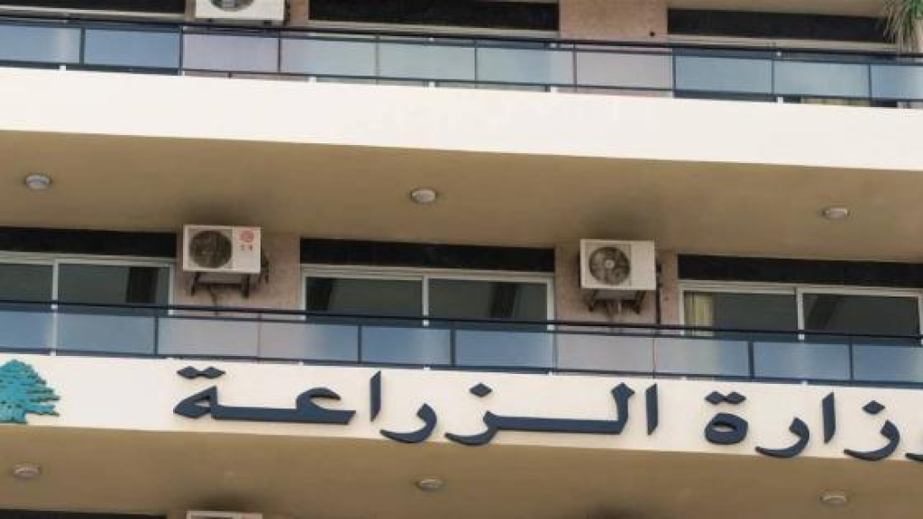 لا تنجروا وراء الأسعار.. الزراعة تتوعد المحتكرين بـإجراءات حازمة