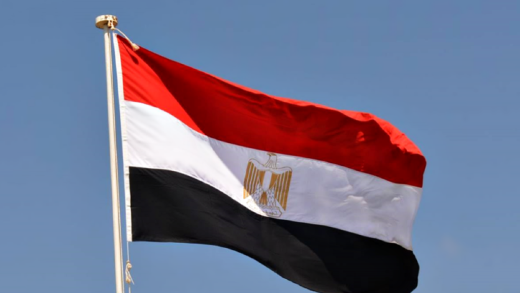 مصر تدعو إلى تشكيل 