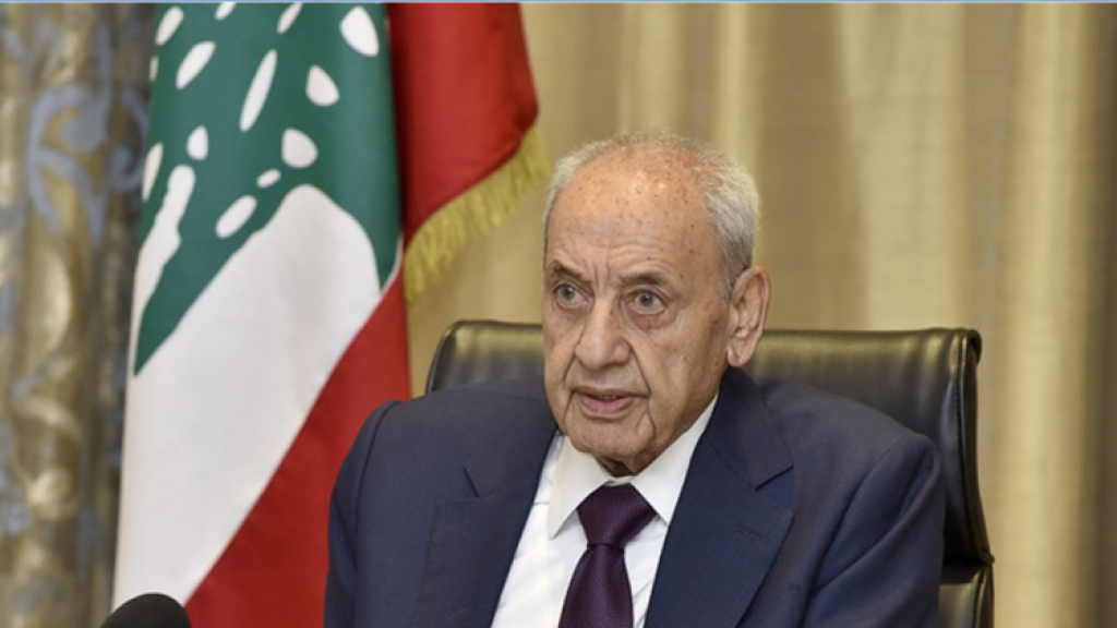 بري يلتقي ماغرو في عين التينة