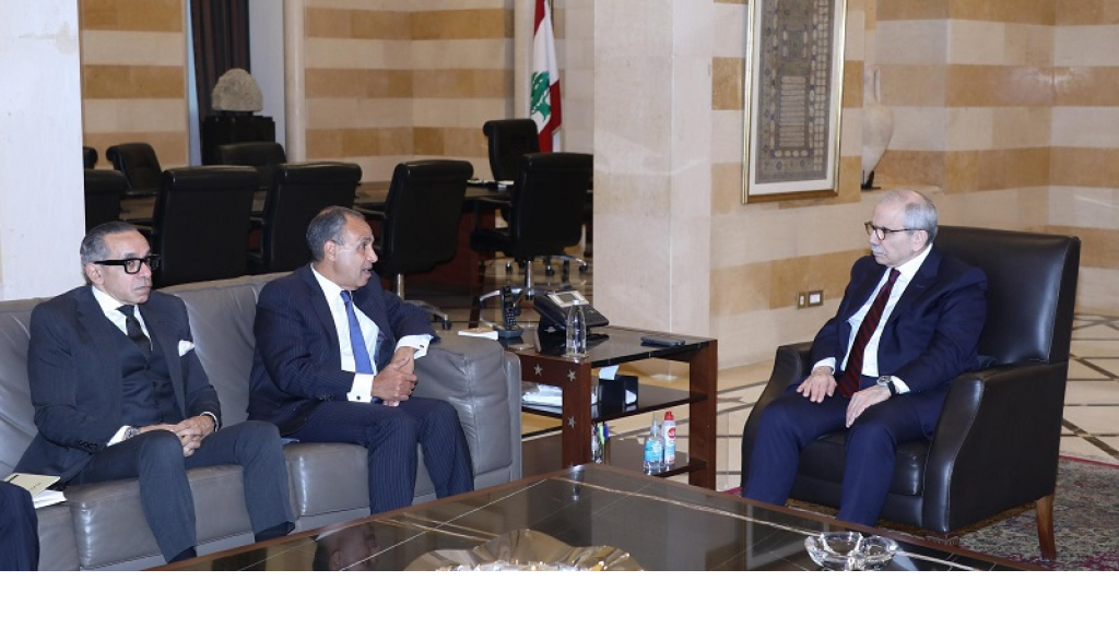 عبد العاطي من السراي: قدمنا 900 طن من المساعدات وهذه البداية