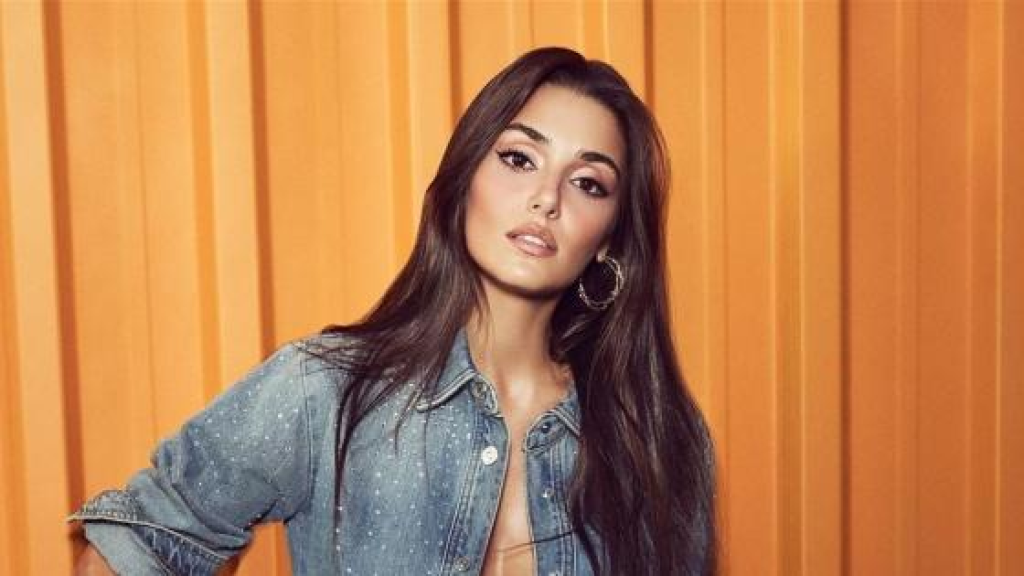 بعد الإدلاء بشهادتها أمام المحكمة.. هذا ما تقرر بشأن النجمة التركية هاندا أرتشيل