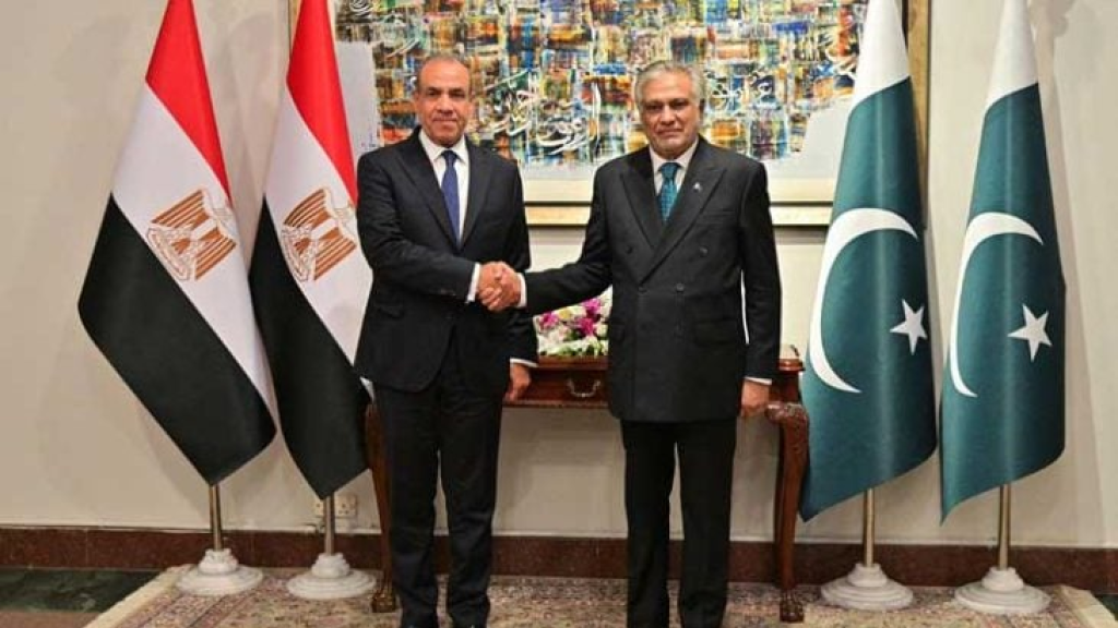 إصابة وزير الخارجية الباكستاني بشرخ في الكتف بعد سقوطه أثناء استقباله نظيره المصري- (فيديو)