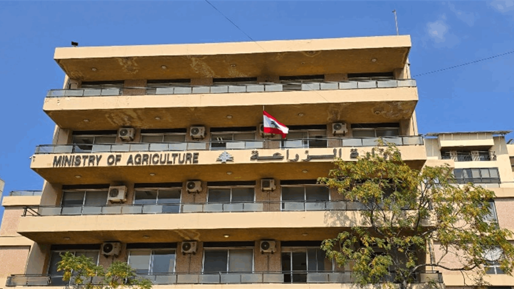 وزارة الزراعة تعلن لائحة المتاجر الملتزمة ببيع البطاطا بالسعر المخفّض… والتوزيع مستمر