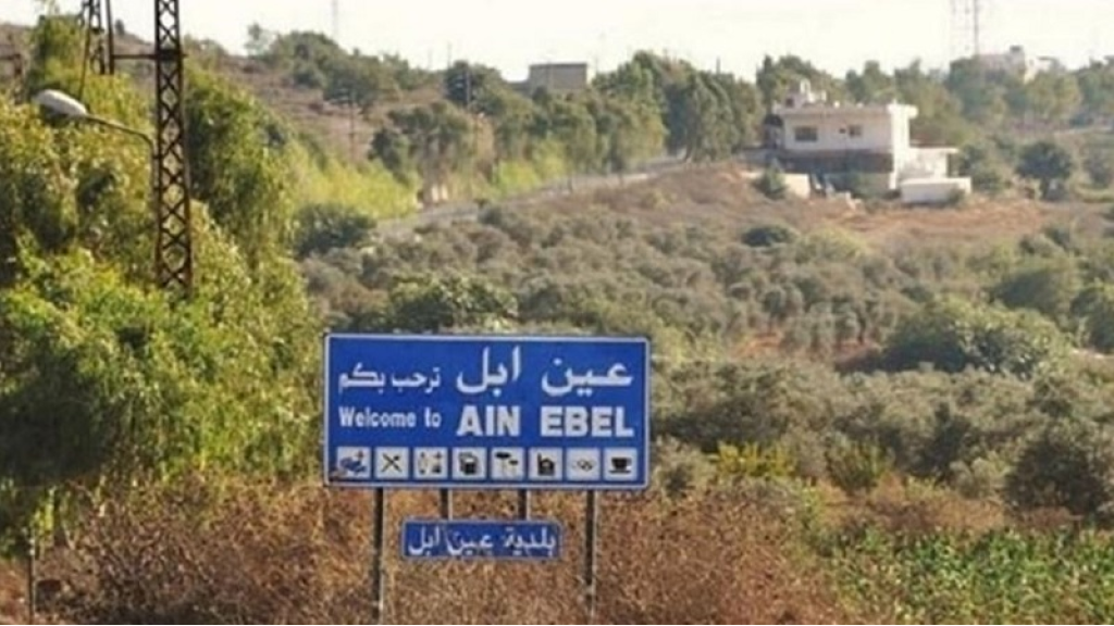 رئيس بلدية عين إبل: القوى الأمنية موجودة في البلدة