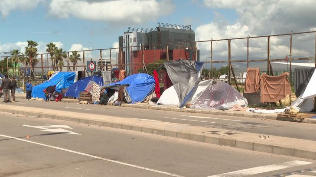 ماذا كشفت وزيرة الشؤون الاجتماعية عن المساعدات النقدية الطارئة؟