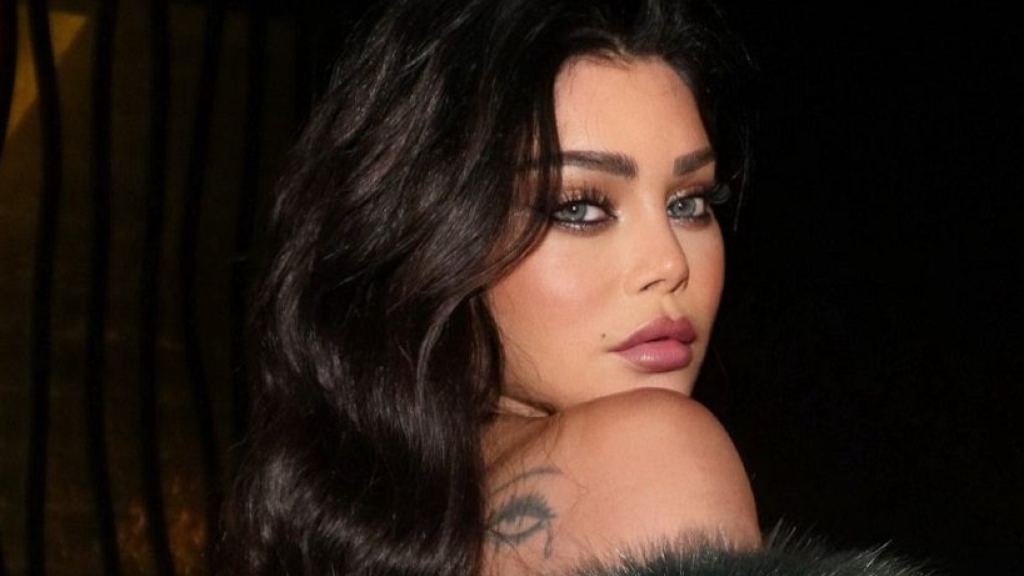 ما جديد قضية سرقة 4 مليون دولار من هيفا وهبي؟